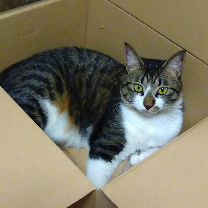 2530ea60 1890 4576 9814 86a99cc0a64b