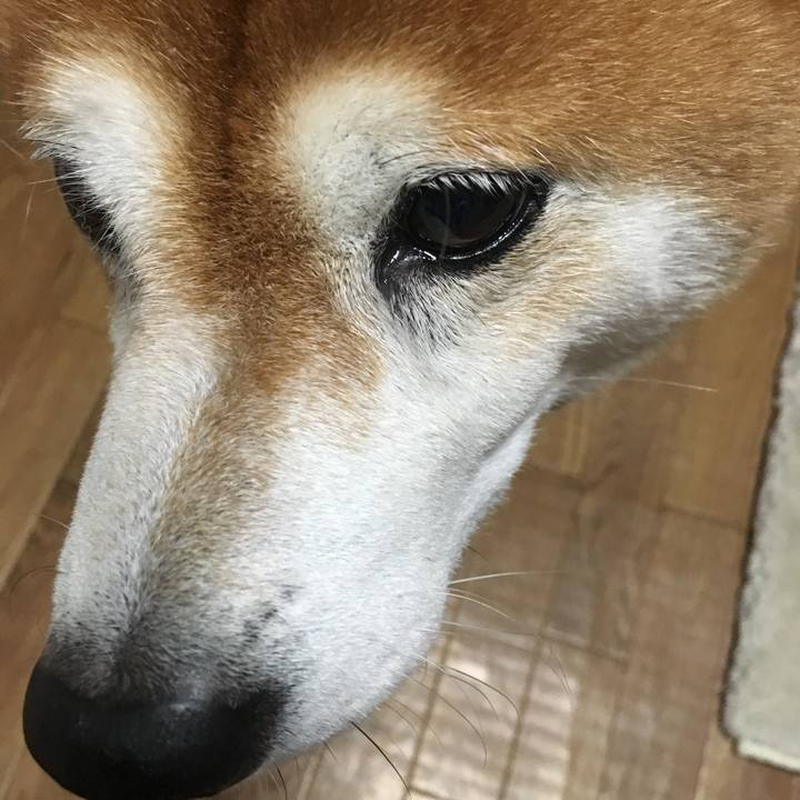 25318079 4d62 4e18 ae1a 135e379297ed