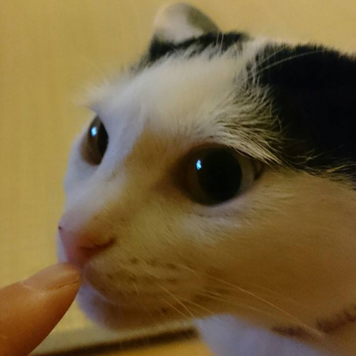 2532702d 7b52 4bf1 a88b 20e3a2d5c43c