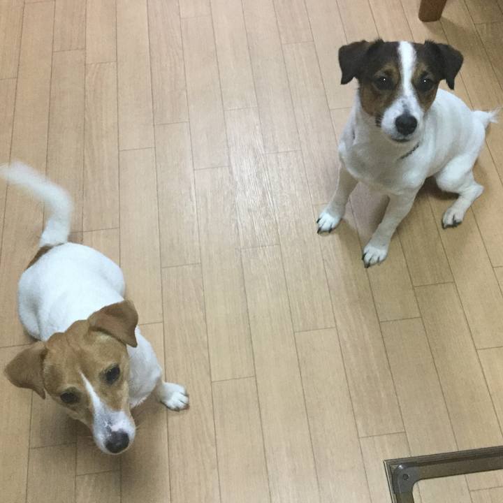 2532a5c6 af80 4982 910d 3b97766294cf