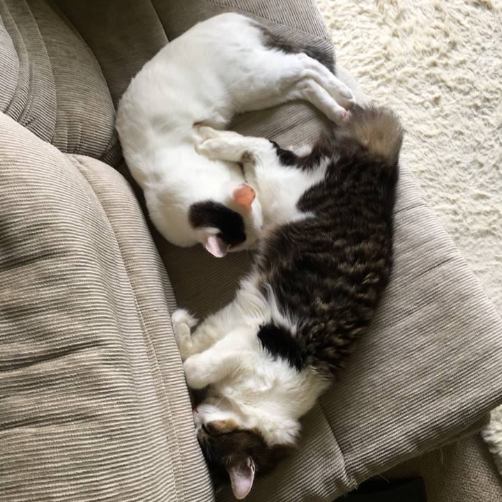 2532b829 738c 4d07 9219 94a5946e7b3f