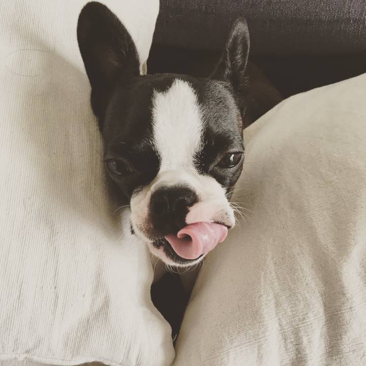 253304b0 dc43 4281 ae3f ffd1b4b0f736