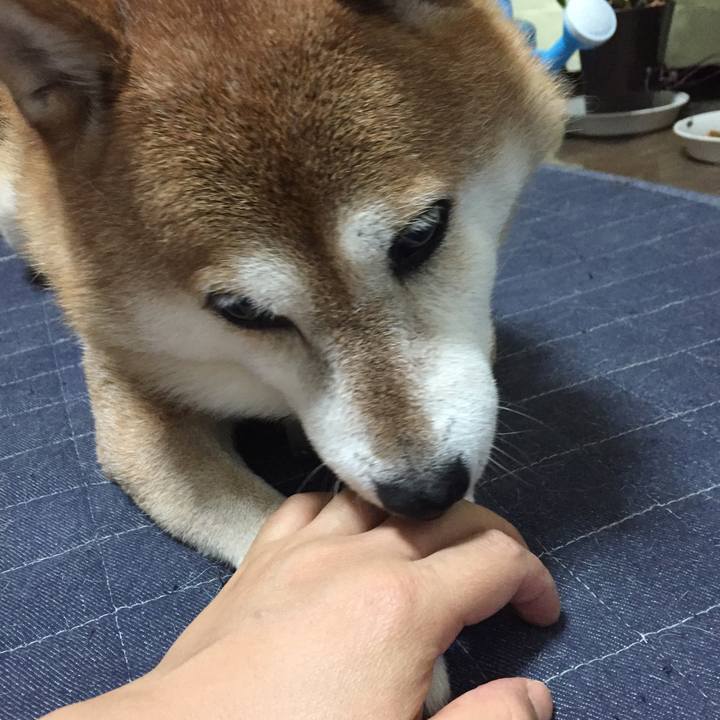 2533178d 8bd9 4ff5 97c3 fe4488ef9bc9