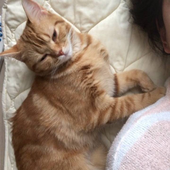 2534139b 83bc 4666 b095 c5bcbb6f9c31