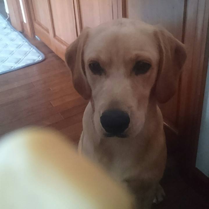 2534393b 9938 411f 83ec 4b635db6edd0