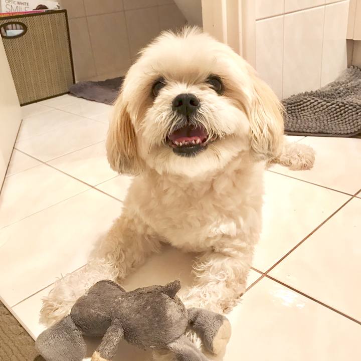 25349e81 f8cf 4875 864c 35675ec5378b