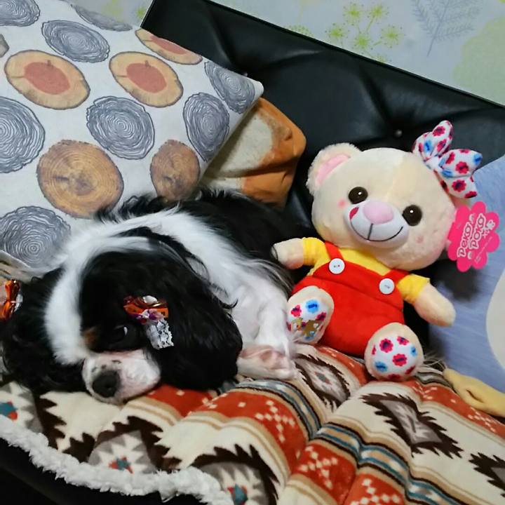 2534afe8 b49a 4c81 b62c 458fecf012e3