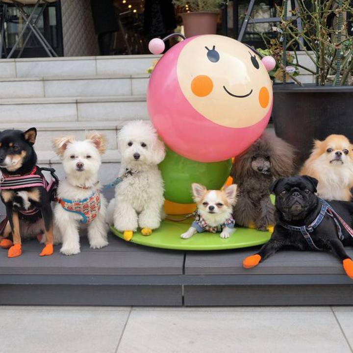 2534b39b 8c6a 472d 8e0f 7a6be585fa6a