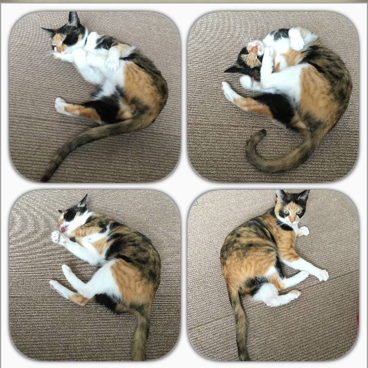 2534d883 1ead 42be 96a7 f254f8490057