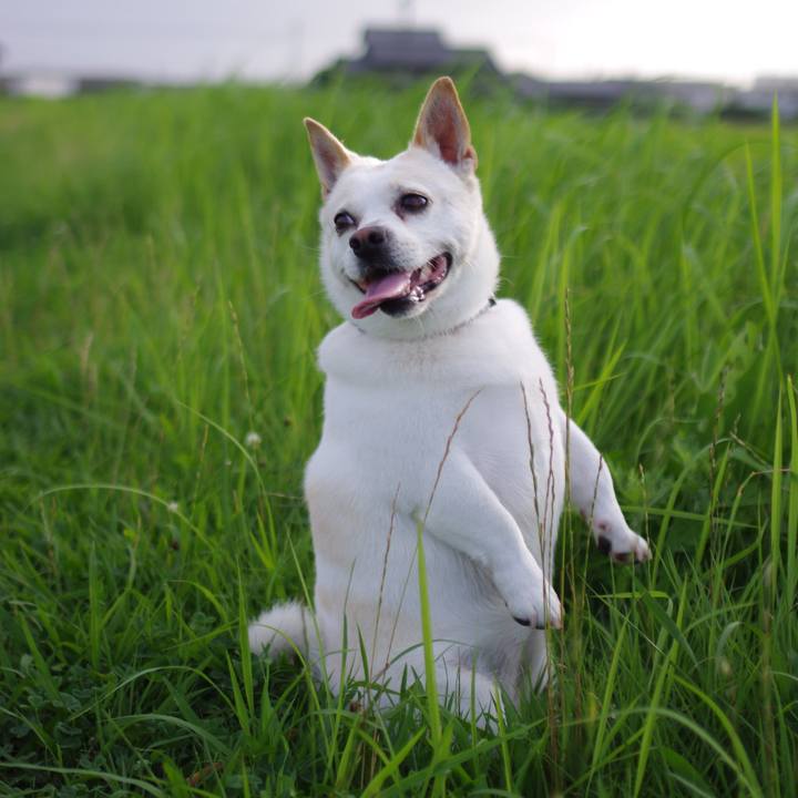 25355ea0 a5f5 49fd 8fac fc2b08753734