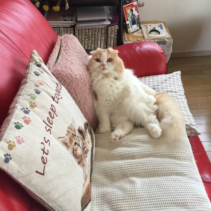 2535c810 c18a 417f b660 351ed2955881