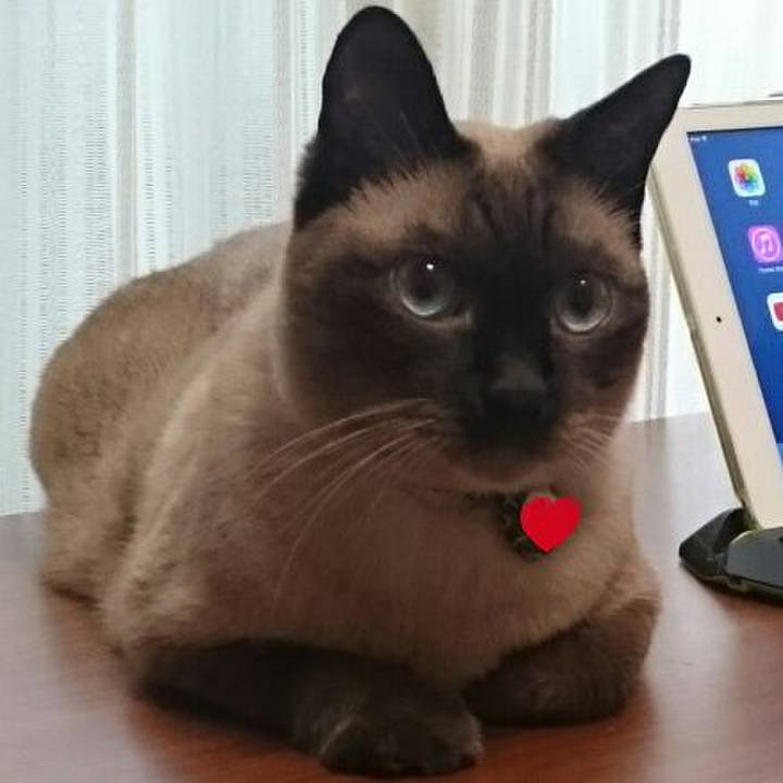 2536187c 27da 4919 8e3f 6df3238bee01