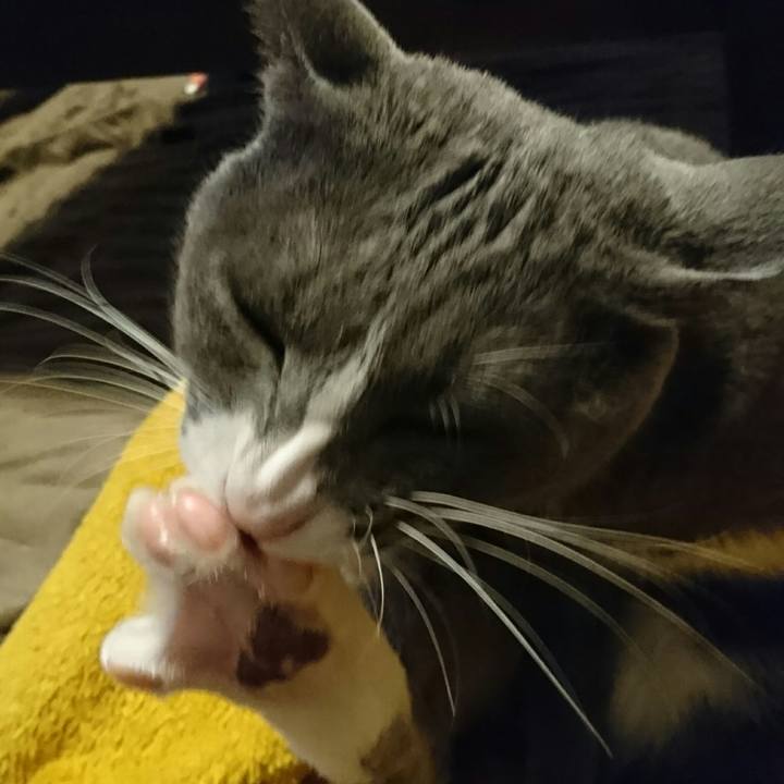 2536cce0 3dfc 400e 84df a39c6de3dc33