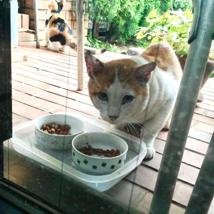 2536f221 2d76 4f6d b670 7ad73cbd1780