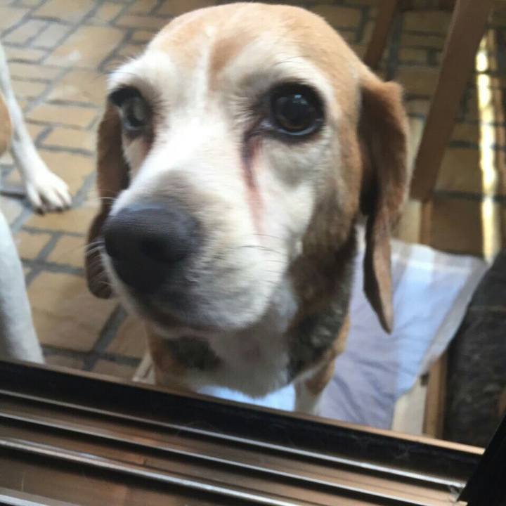 25372e42 e740 4267 a50d 980e2cc468f9