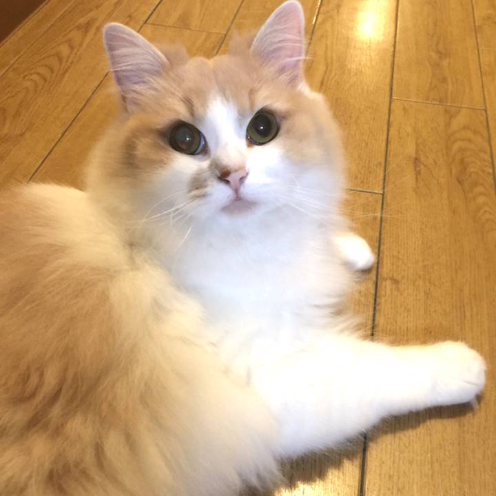 253761c3 15ec 4b83 a883 495b51ccd33c