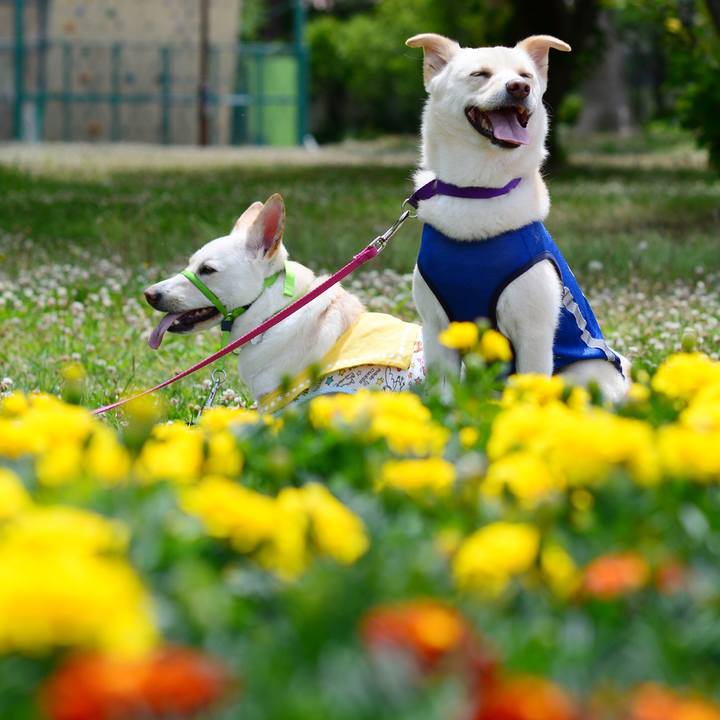 2537ccec a9fa 477a 95eb 15fe1088feae