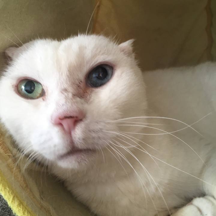 2537fdc6 187c 4240 8856 f4a80a1f75b6