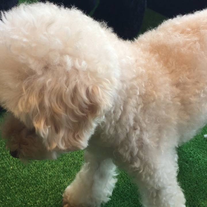 253849b5 b2e2 499e be5f c64a7a730e0d