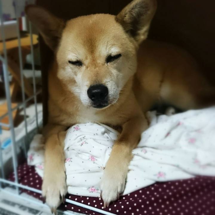 2538bf40 a6f1 4b83 863f 416b6f022064