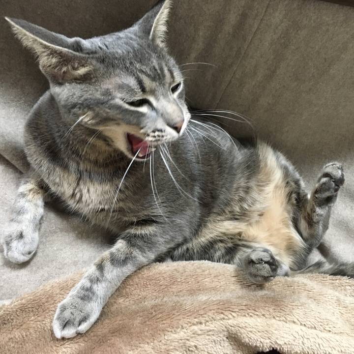 25390c71 0e47 4576 af93 f9aca6882ce7