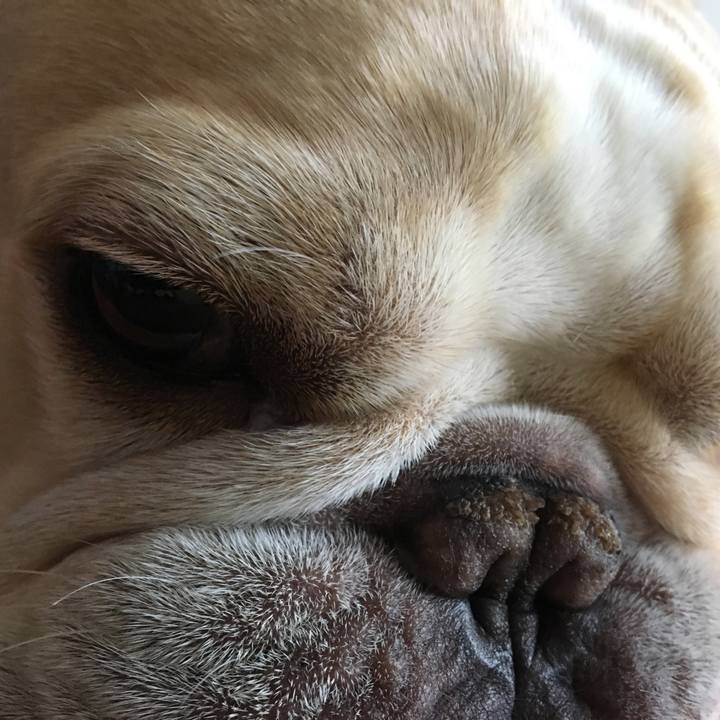 25392934 db0b 4d32 8a2b a00290a74299