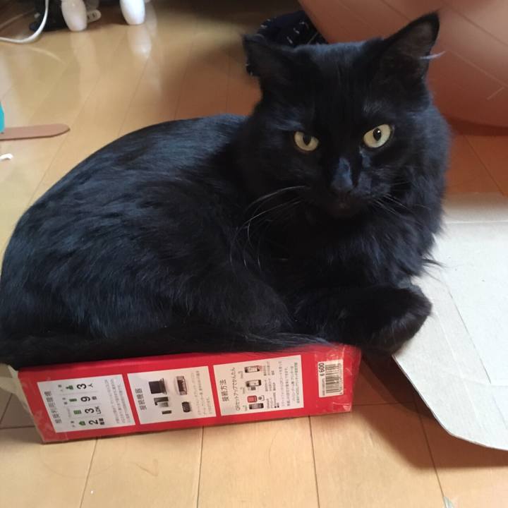 253a1a1c 5f00 4f55 8676 b2389818c2e7