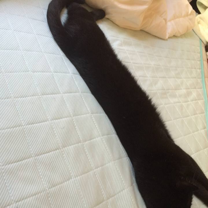 253a7398 fb21 4bf9 87cd 16913fc7b16b