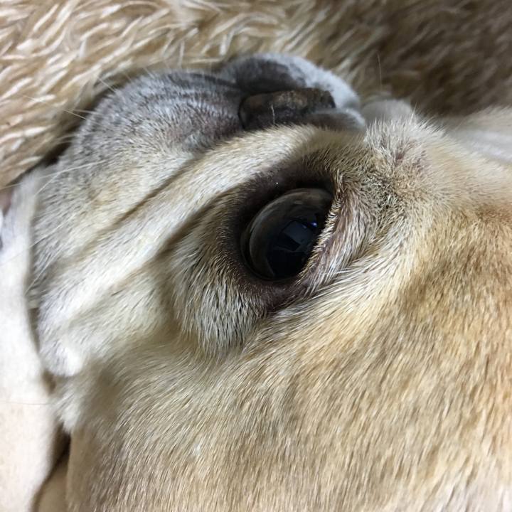 253b174b be8c 496a 801e f6f625a710df