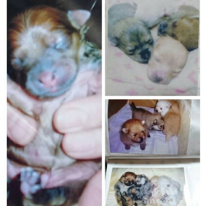 253b83ef 1536 4e9b b7db d2b856c7e774