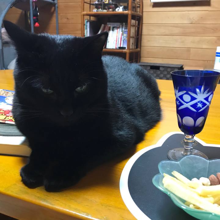 253beee0 107f 4666 8818 0c324f19820a