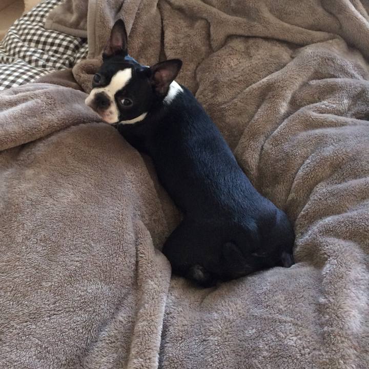 253c2493 db6d 4042 ad37 5f281ff14770