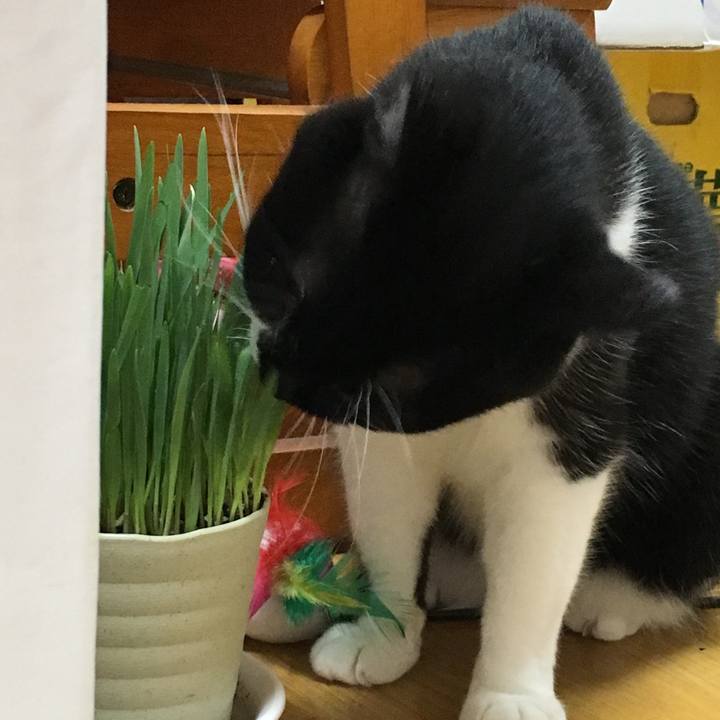 253cc001 6c87 4c3b 9aee 4ba0c7d83d08