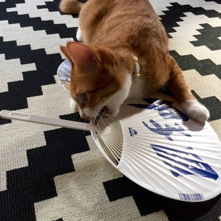 253cdd85 2ba6 4bd0 a575 3f6f14c97d6a