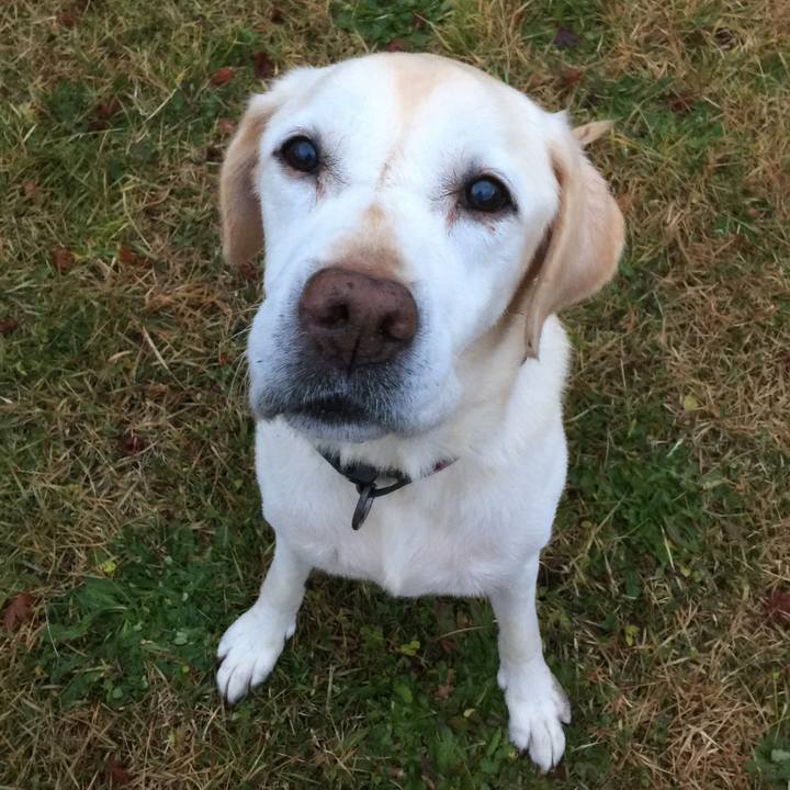 253d9a5f 375b 4d7d b28a ebfc34e25a0a