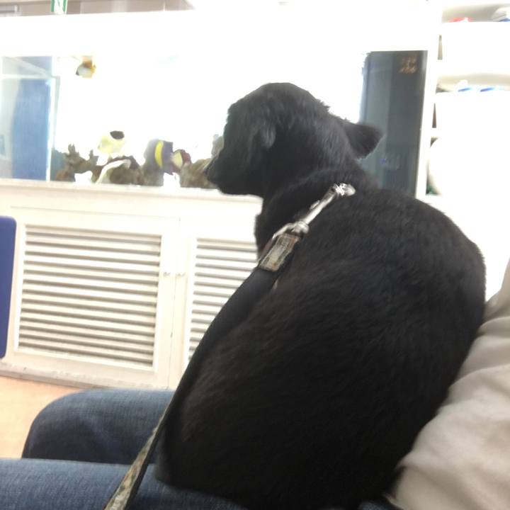 253da294 b323 4d6c 8620 c8c6319975b5