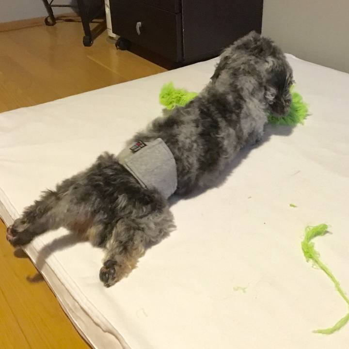 253e0a94 8755 456e 8178 f0534f4c045f