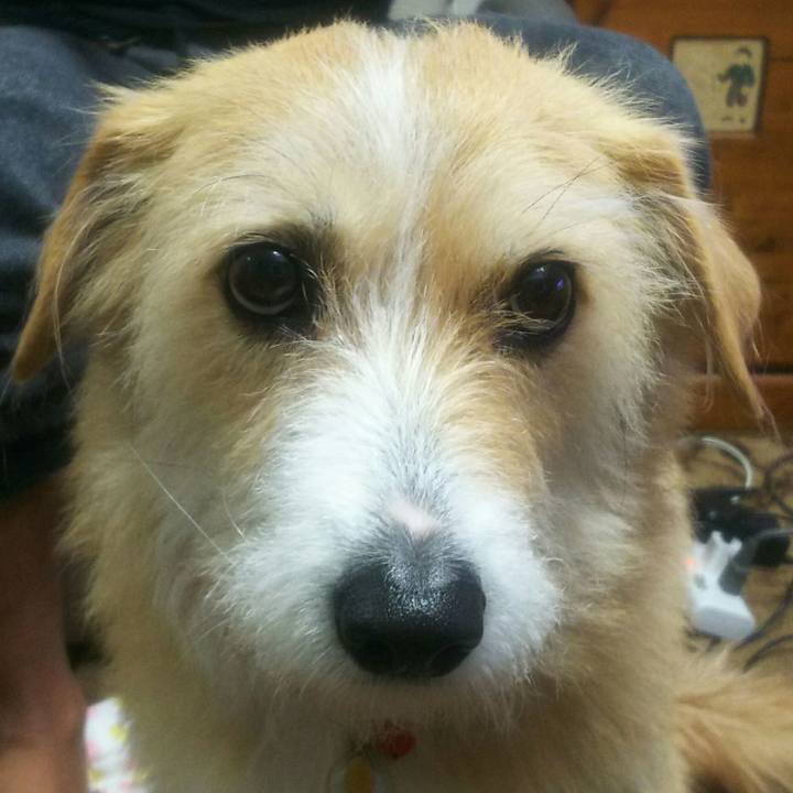 253e7ea1 8d4d 4218 b415 881a9da44d01