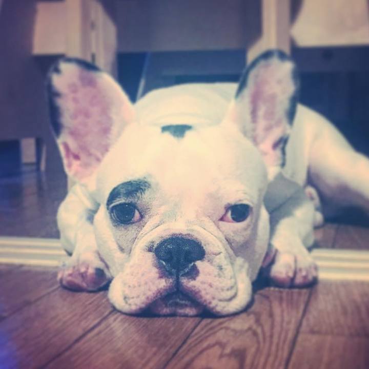 253e8855 55d8 42d2 acd8 9a1cbc6380f5