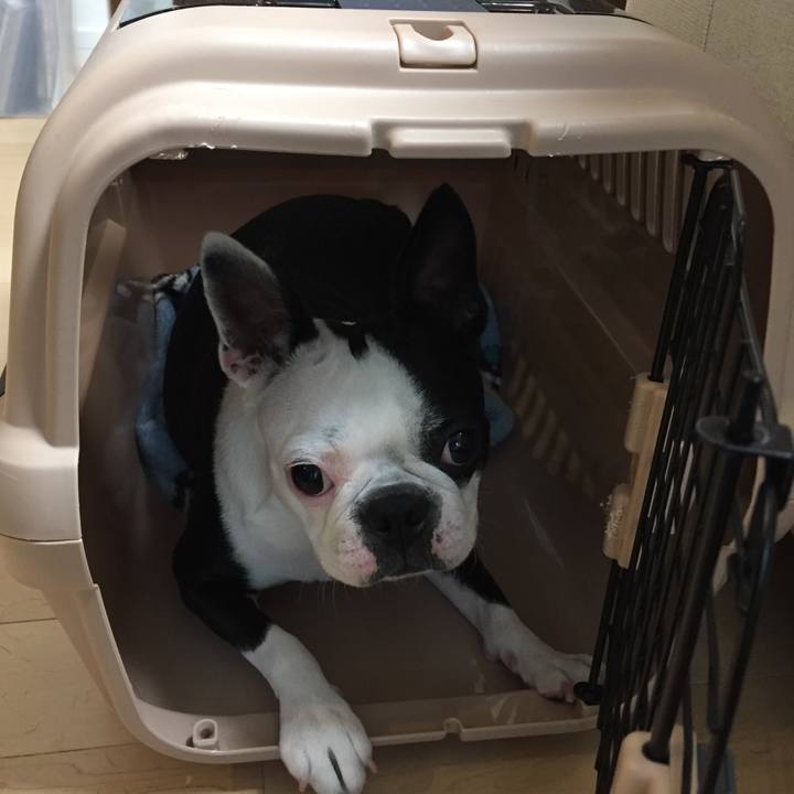 253f0d55 1ae6 43c6 bc47 89cbbf462d52