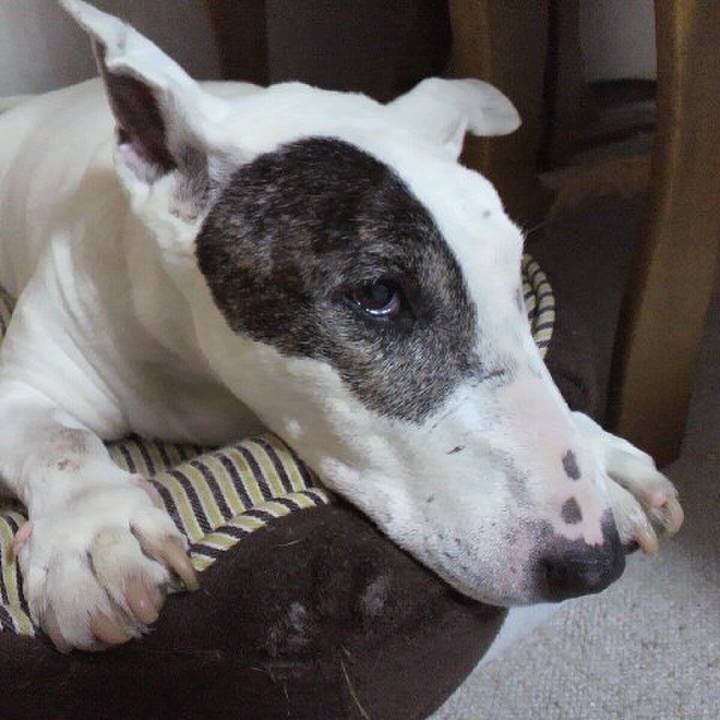 253f3955 36fb 4020 95e6 217a03f284fe