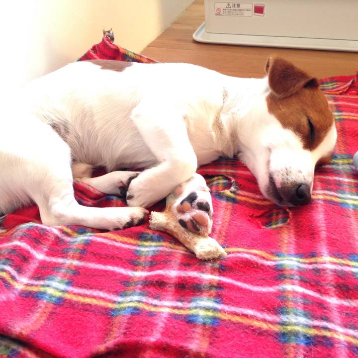 2540924b f8f4 41f8 a8ea cf487488bf1b