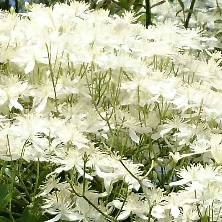 2540bfc4 213d 4839 a5f3 3ef1d5faefc7