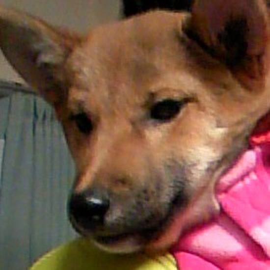 254105a7 7916 4c13 a4cf 9df2e3252501