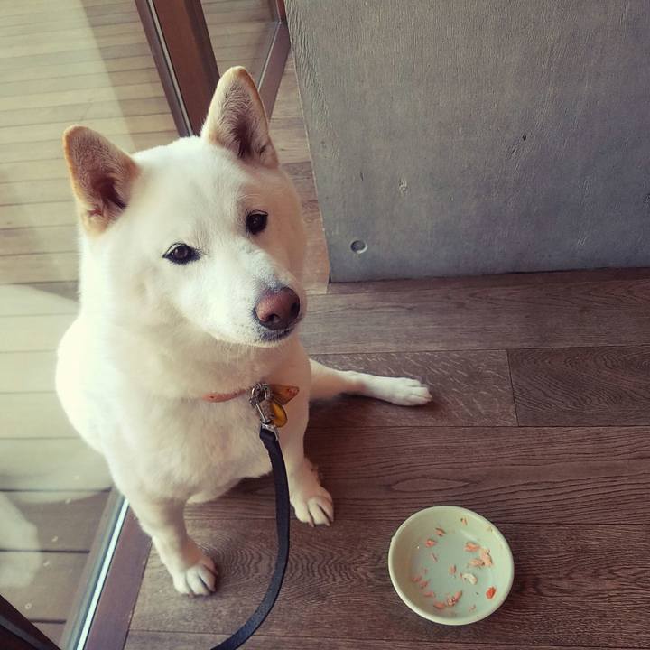 25412293 c0b5 42ee af91 53513160a1d0