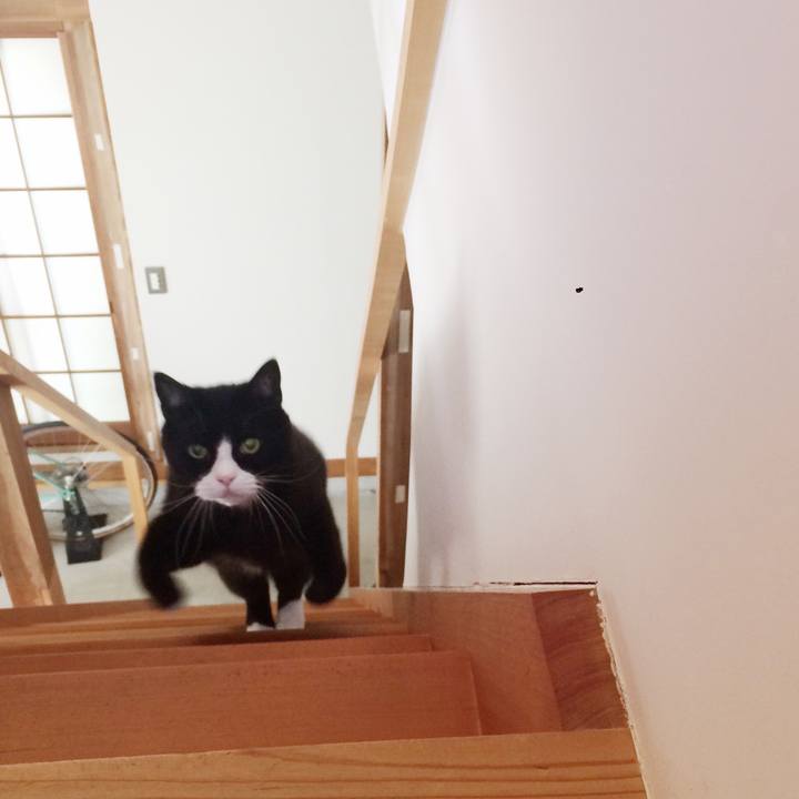 254131db 78b5 4c57 a4dc 6cb90676ab27