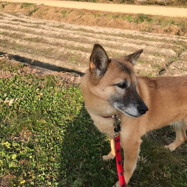 25415a26 f9b0 4abc a5eb 9d30331c4d70