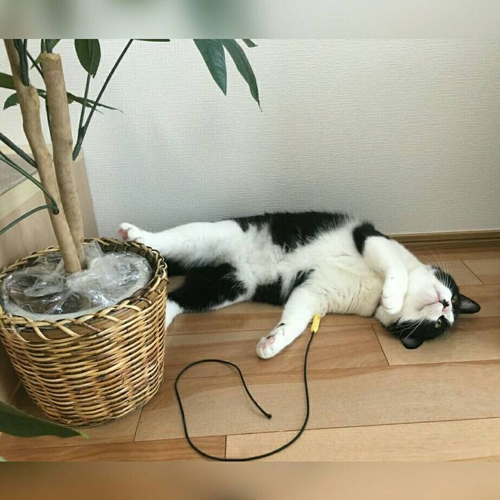 25420721 d5fa 49a8 8158 d246cac1af1e