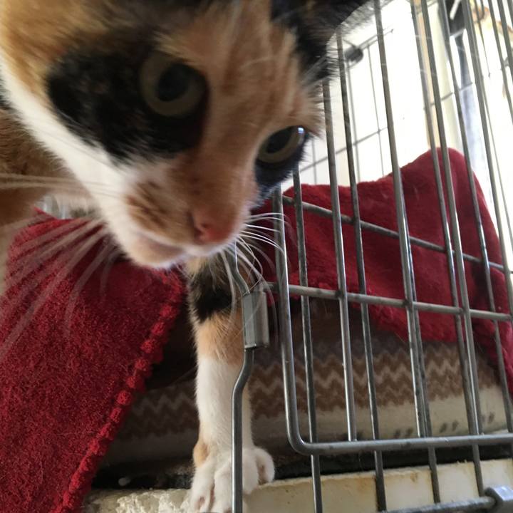 25423e81 c645 48bb a523 edca9e6d89bb