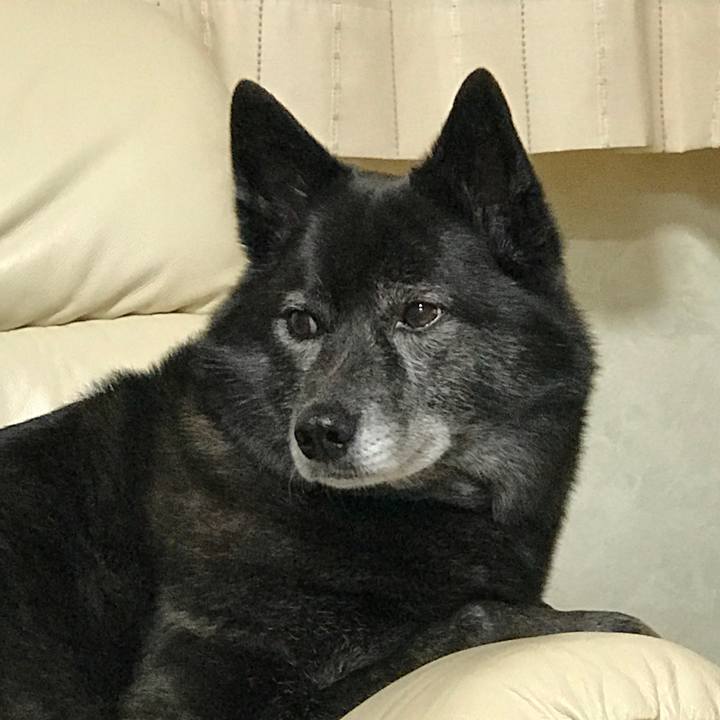 25426730 f9df 4607 9297 e66c71483e29